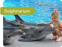 Dolphinarium in Varna